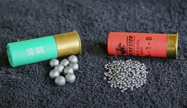 Home Defense: Buckshot vs. Birdshot - American Handgunner