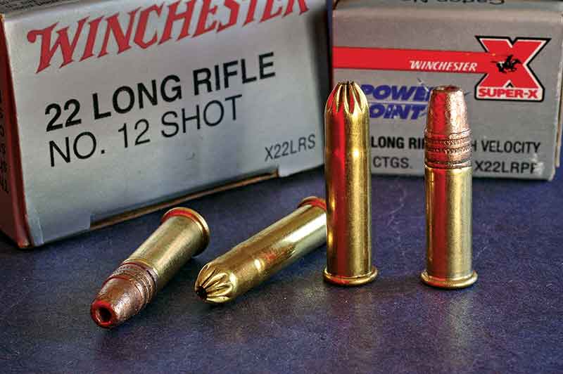 Ten-shot autoloaders abound, but they don’t handle the variety of .22 ammo ...